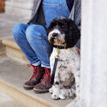 Luxury Black Leather Dog Collar with Center Ring, Handmade in the UK The Stately Hound