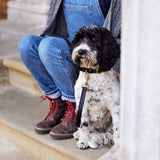 Luxury Black Leather Dog Collar with Center Ring, Handmade in the UK The Stately Hound