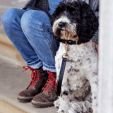 Luxury Black Leather Dog Lead & Stitch Detailing, Handmade in the UK The Stately Hound