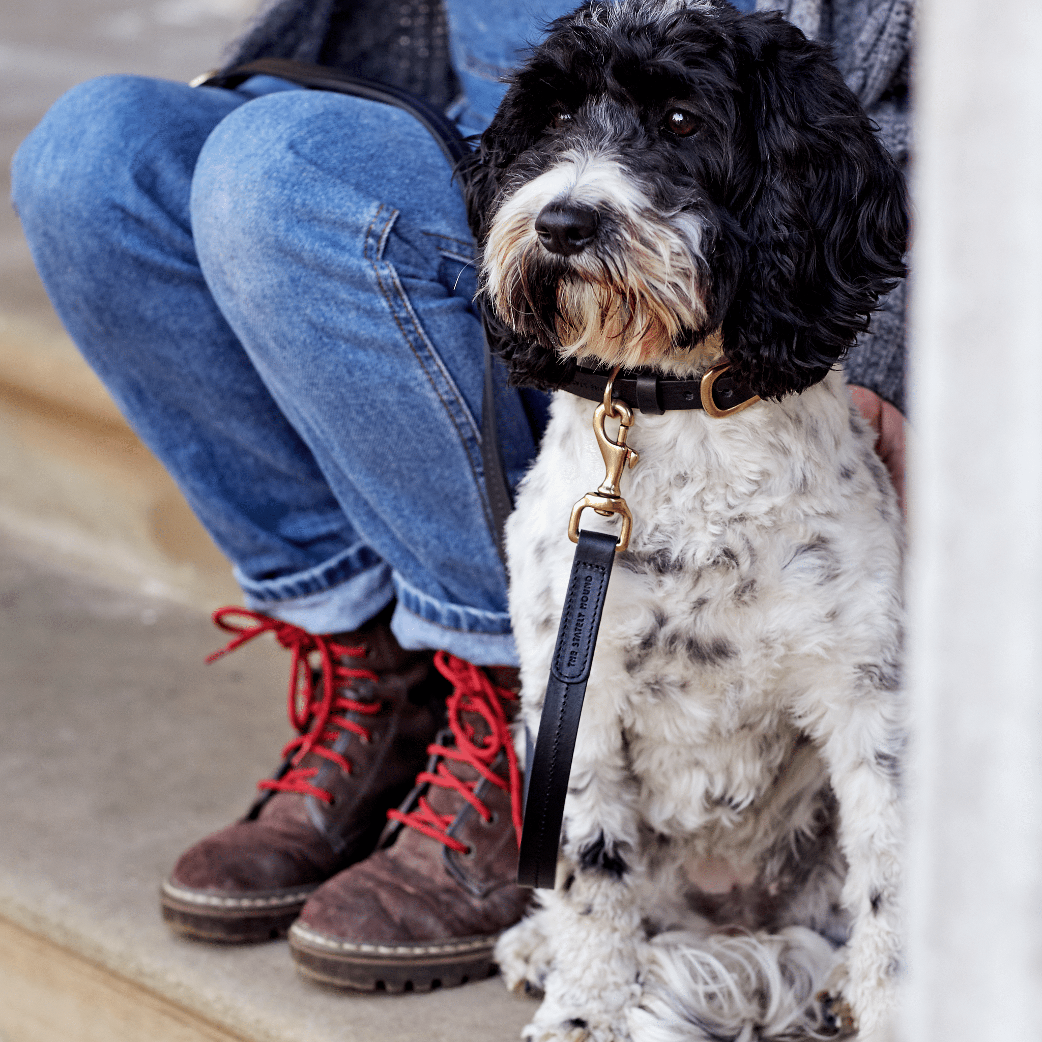 Luxury Black Leather Dog Lead & Stitch Detailing, Handmade in the UK The Stately Hound