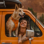 Ruffwear Front Range Harness – Adventure-Ready in Campfire Orange The Stately Hound