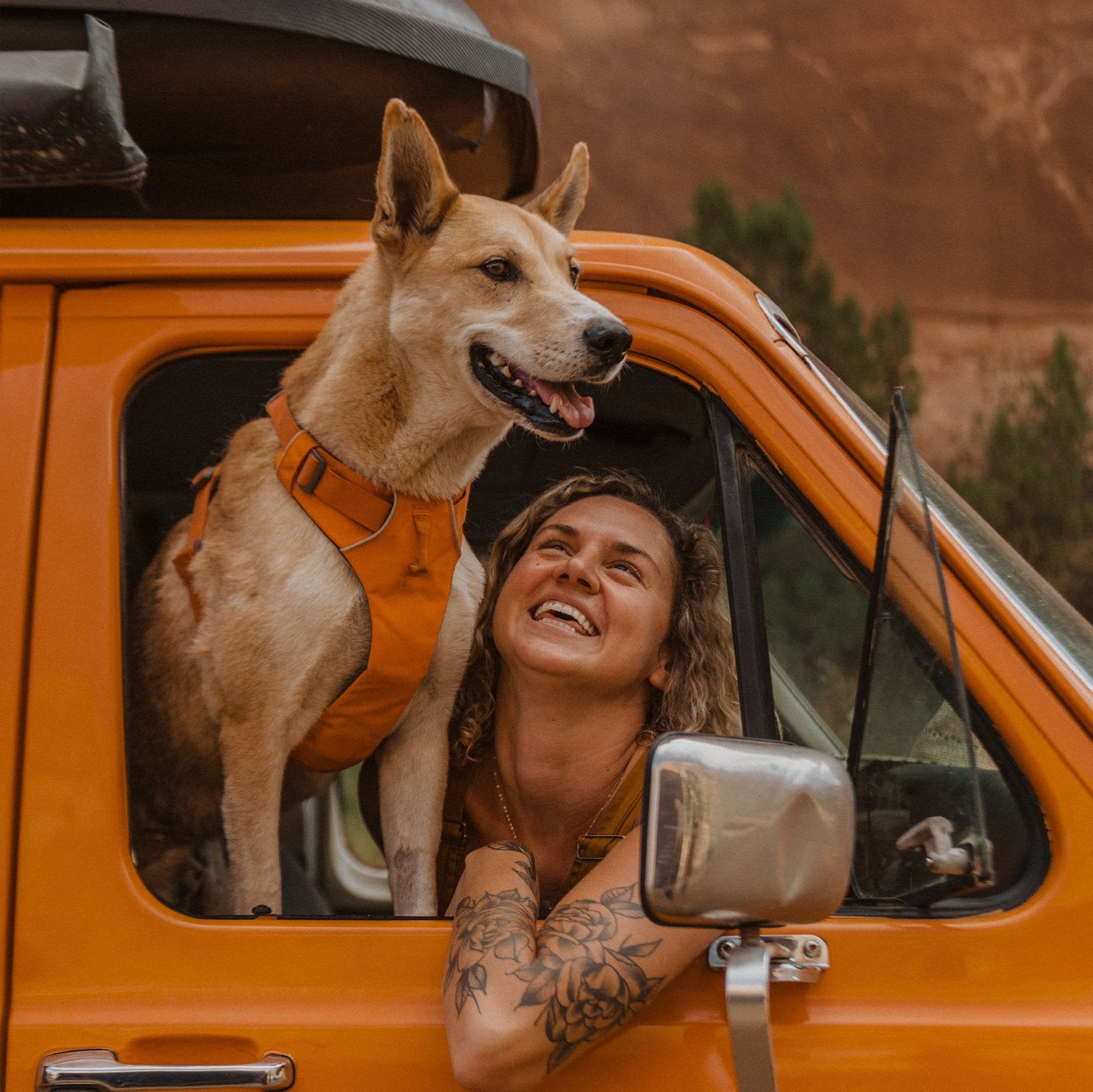 Ruffwear Front Range Harness – Adventure-Ready in Campfire Orange The Stately Hound