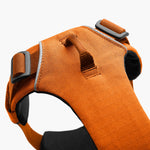 Ruffwear Front Range Harness – Adventure-Ready in Campfire Orange The Stately Hound