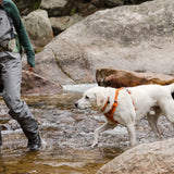 Ruffwear Front Range Harness – Adventure-Ready in Campfire Orange The Stately Hound