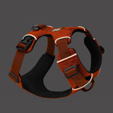 Ruffwear Front Range Harness – Adventure-Ready in Campfire Orange The Stately Hound