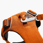 Ruffwear Front Range Harness – Adventure-Ready in Campfire Orange The Stately Hound