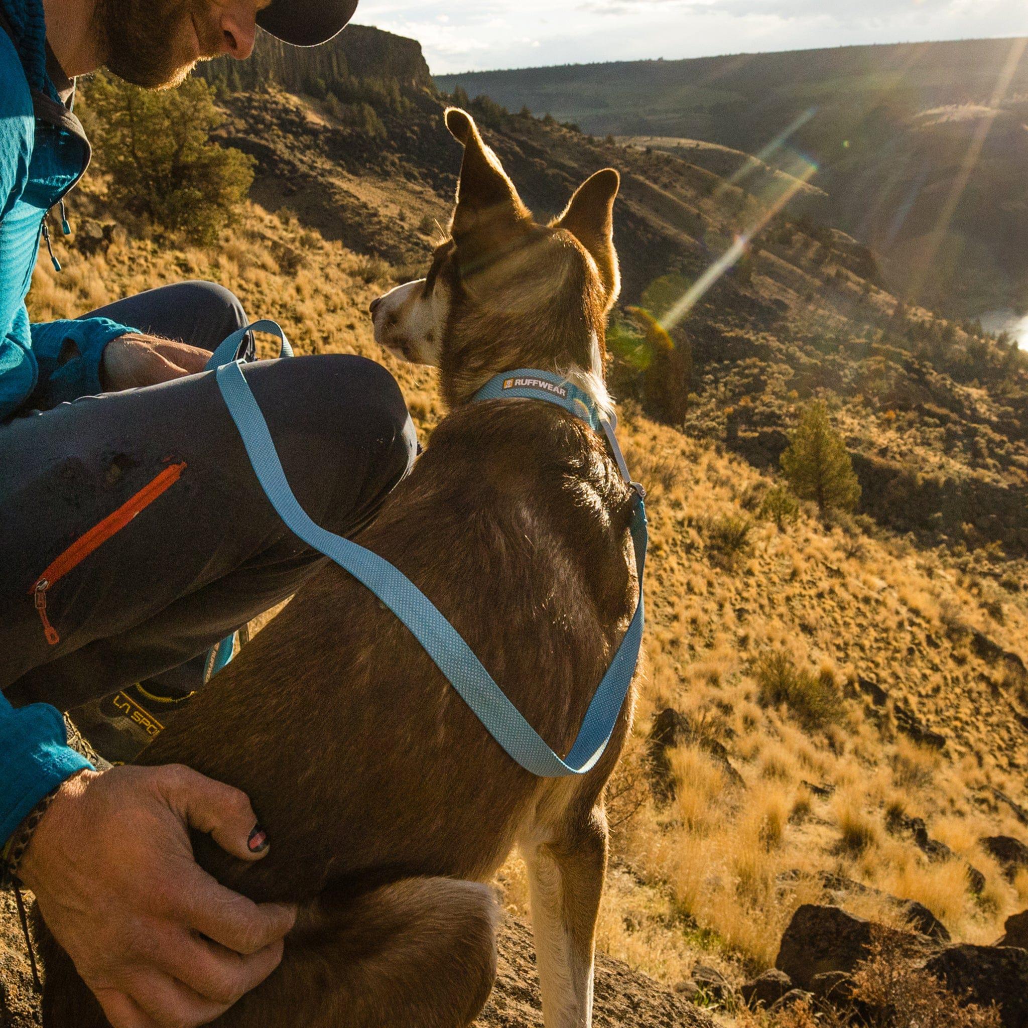Ruffwear Hi & Light Blue Dog Collar – Lightweight Strength for Active Adventures The Stately Hound