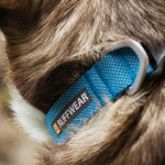 Ruffwear Hi & Light Blue Dog Collar – Lightweight Strength for Active Adventures The Stately Hound