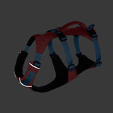 Ruffwear Salmon Pink Flagline Dog Harness – Lightweight, Durable & Comfortable The Stately Hound