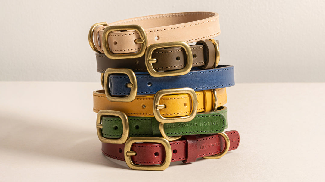 Dog Collar Size Guide: Find the Perfect Fit for Your Pet