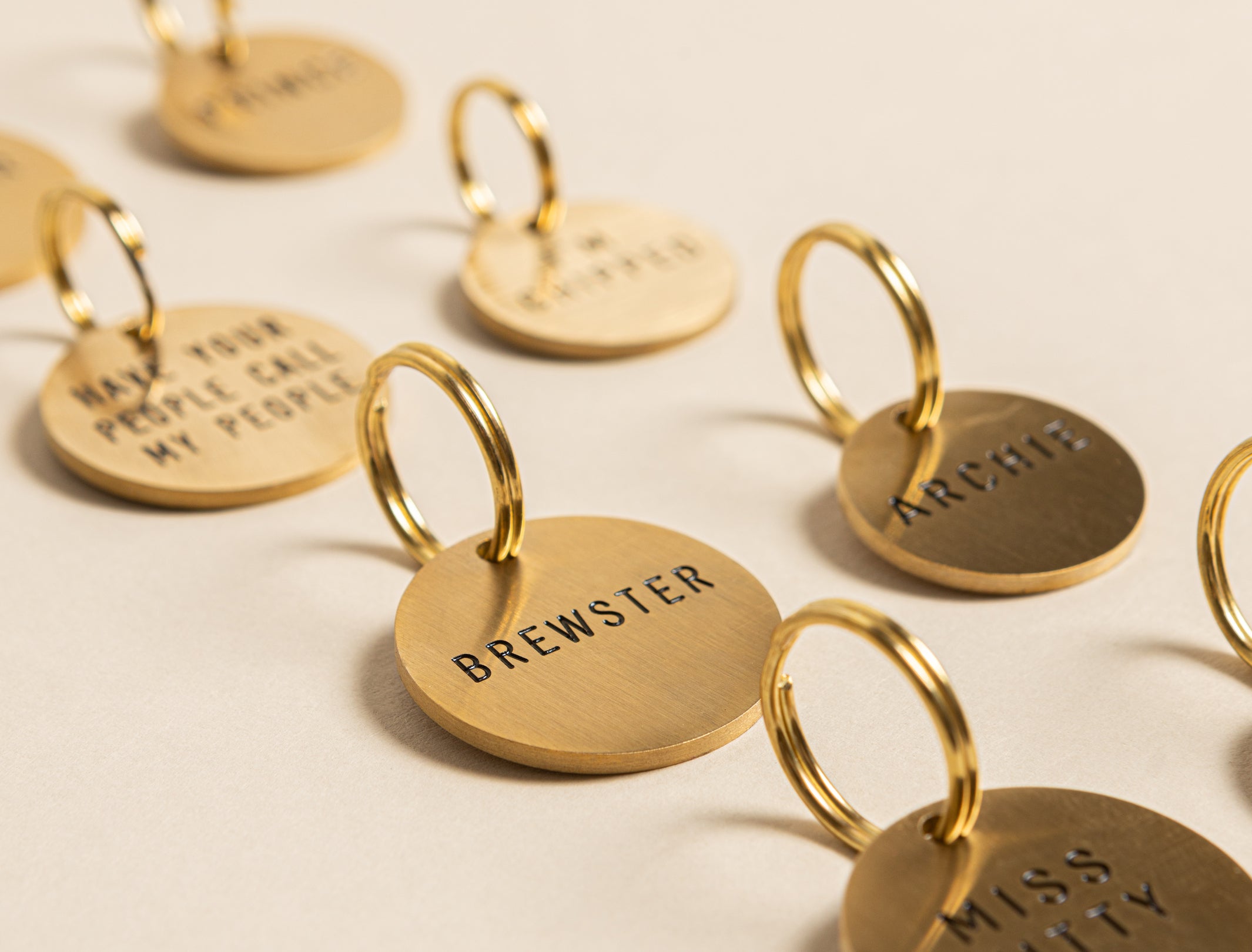 What information should I include on my Pet's Name Tag | UK Edition