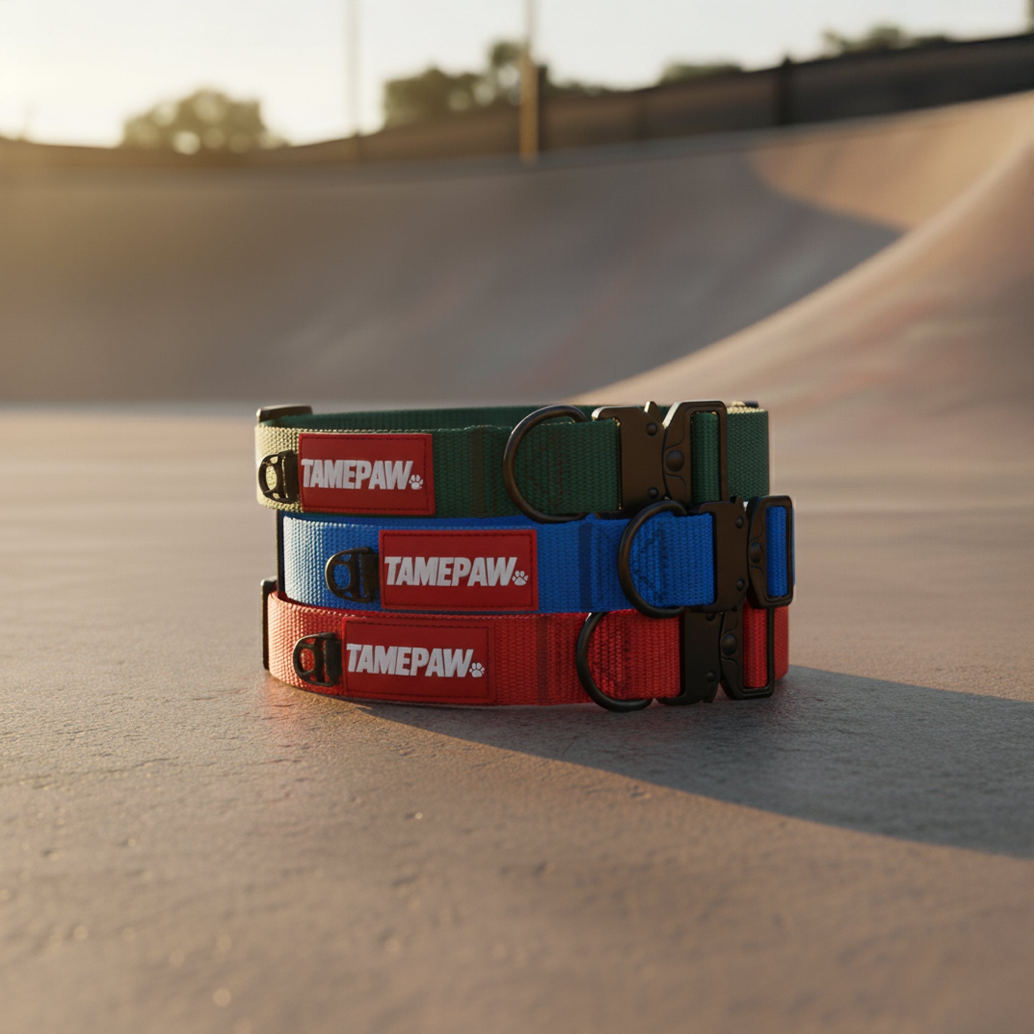 Dog Collar Size Guide: Find the Perfect Fit for Your Pet