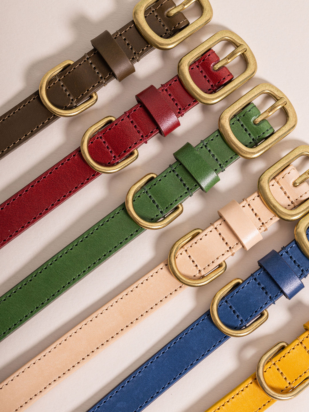 Dog Collars