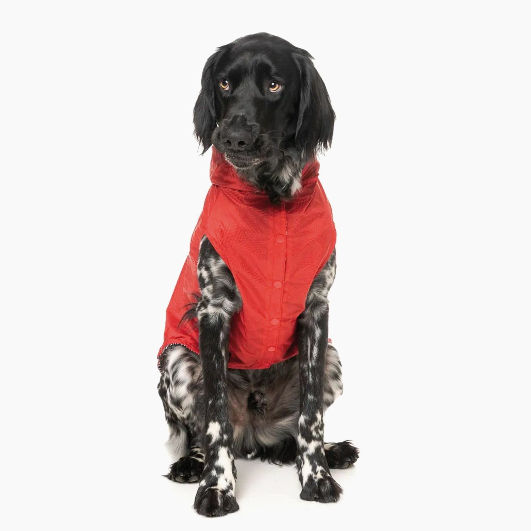 Flipside Rainproof Reversible Dog Coat in Red, Black & White The Stately Hound