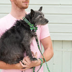Man holding a dog with a green leather dog collar and fabric lead