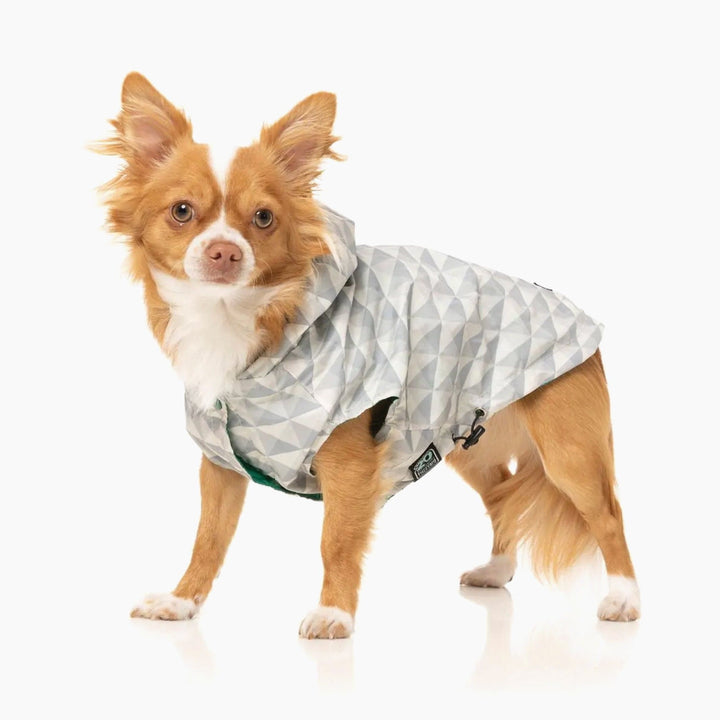Flipside Rainproof Reversible Dog Coat in Green / Beige