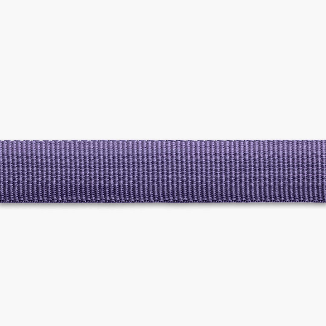 Ruffwear Front Range Dog Collar - Purple Sage: Strong, Durable, and Comfortable