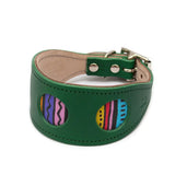 Rainbow Stripe Green Leather Whippet & Greyhound Collar - UK Made The Stately Hound