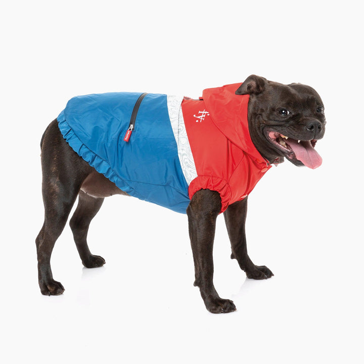 The Seattle Dog Water Resistant Raincoat in Red and Blue