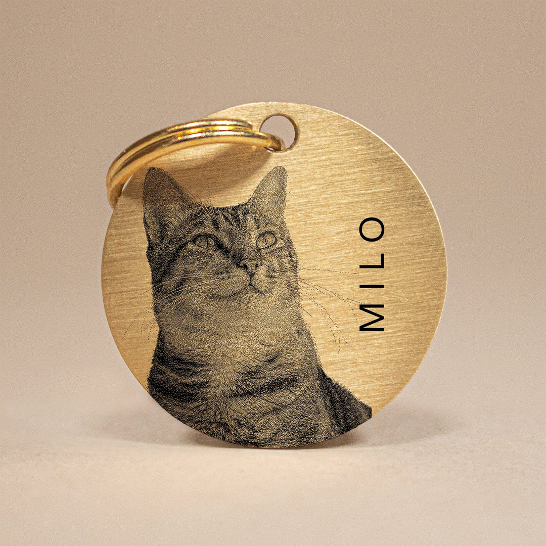 Custom Engraved Cat Photo & Name Pet Tag – Brass Memorial & ID Tag