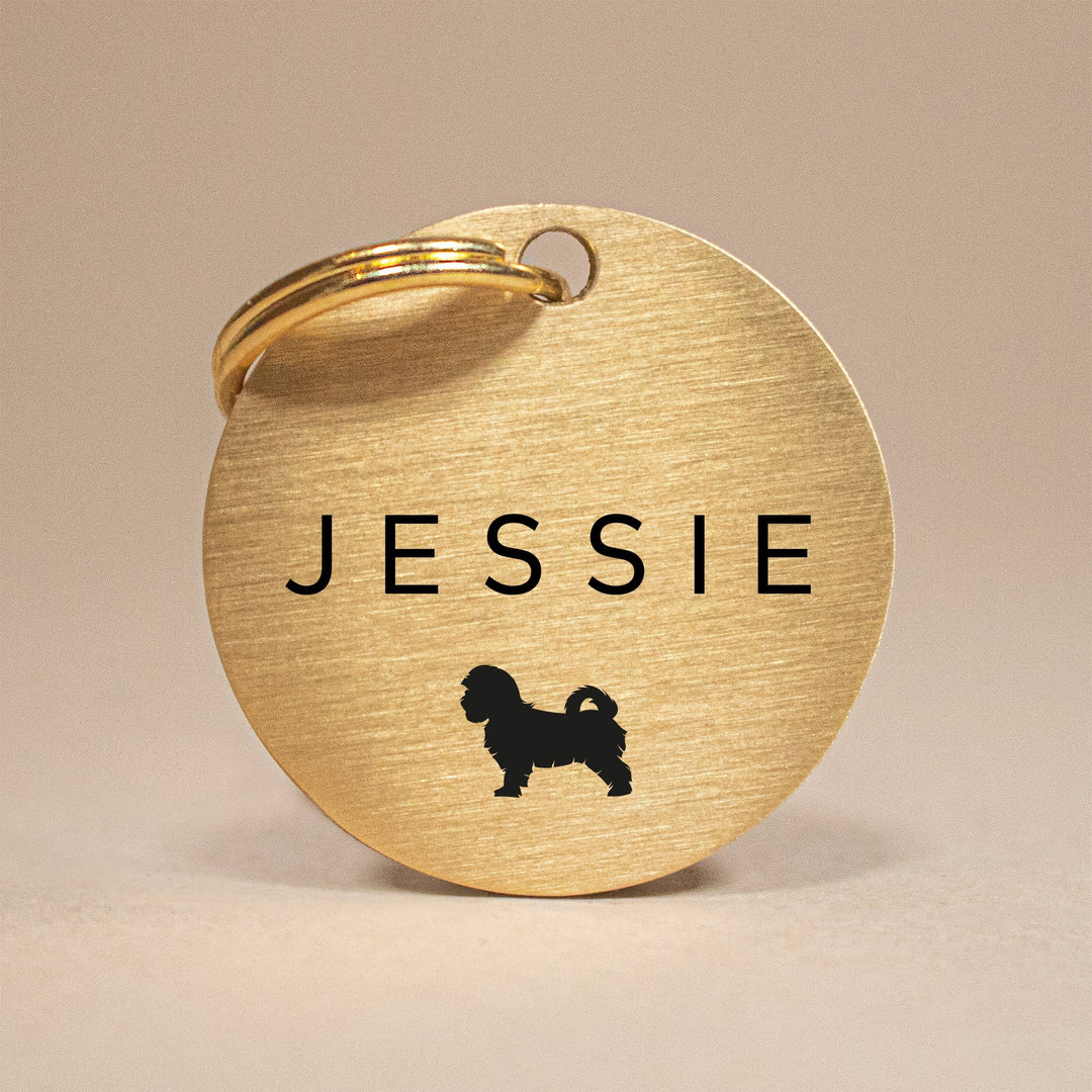 Custom Gold Brass Dog Tag with Personalised Name, Breed Silhouette & Contact Info