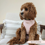 Cocopup Luxe Adjustable Dog Harness - Baby Pink Heart The Stately Hound