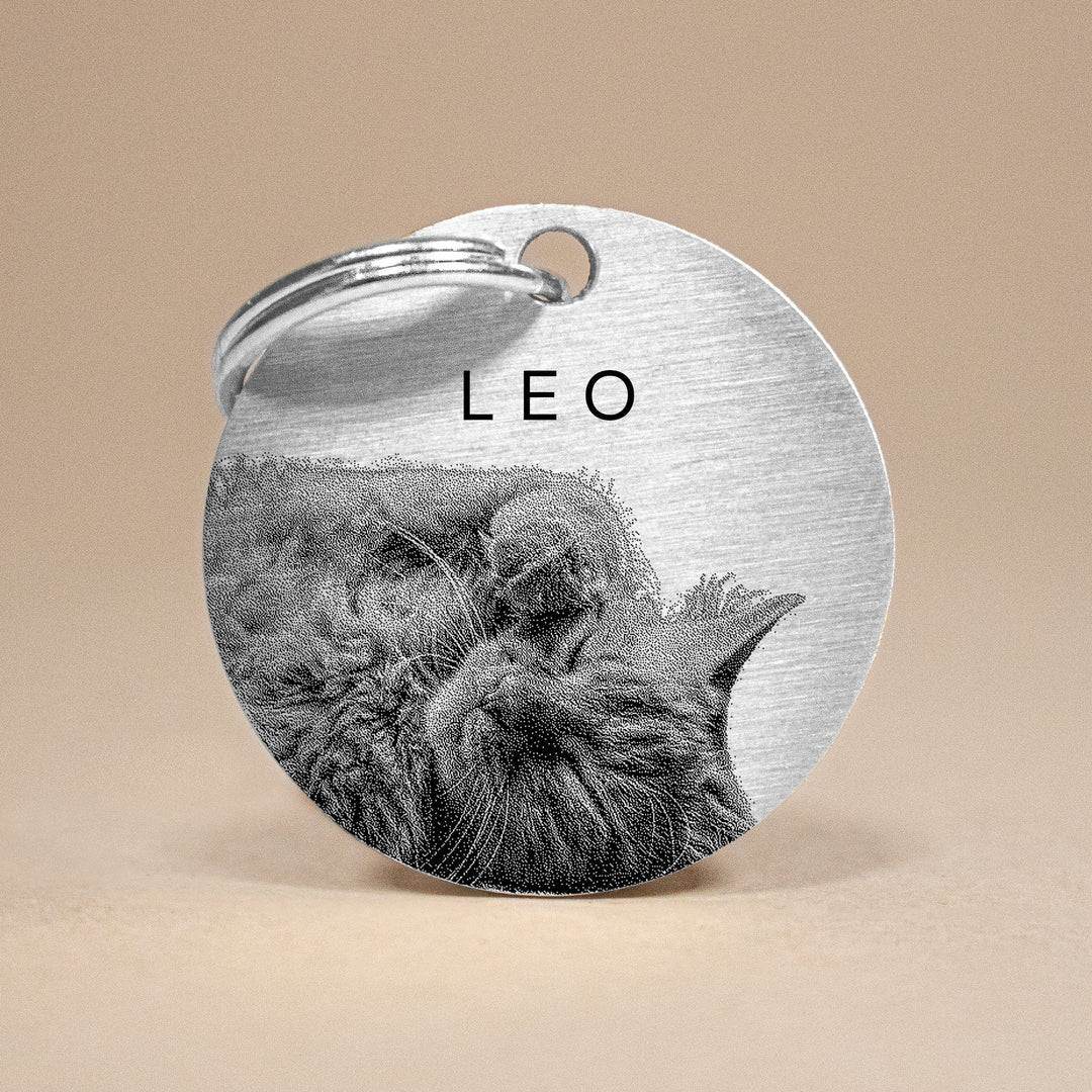 Custom Engraved Cat Photo & Name Pet Tag – Stainless Steel Memorial & ID Tag