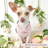 Cocopup Luxe Adjustable Dog Harness - Baby Pink Heart The Stately Hound