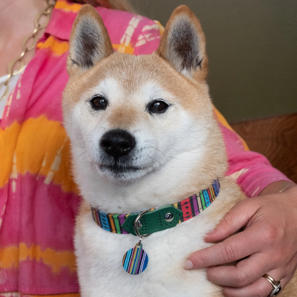 Hiro + Wolf Green Leather Dog Collar with Rainbow Stripes, Handmade & Adjustable