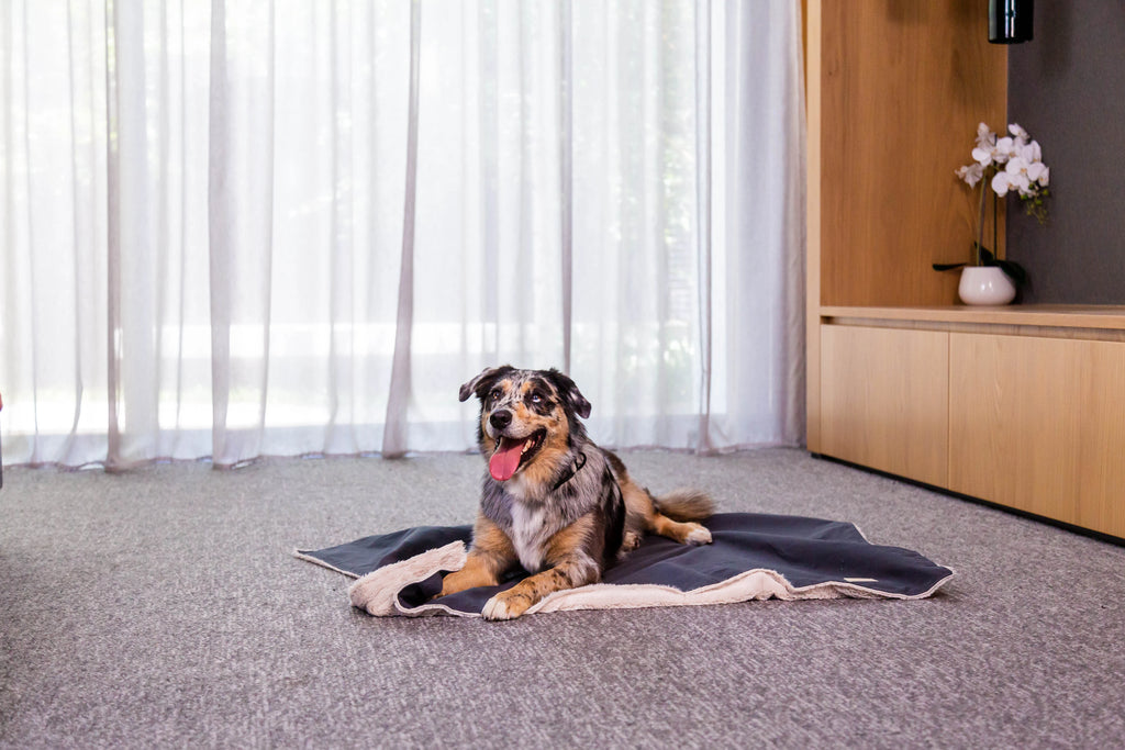 Reversible Comforter Dog Blanket | Slate Grey