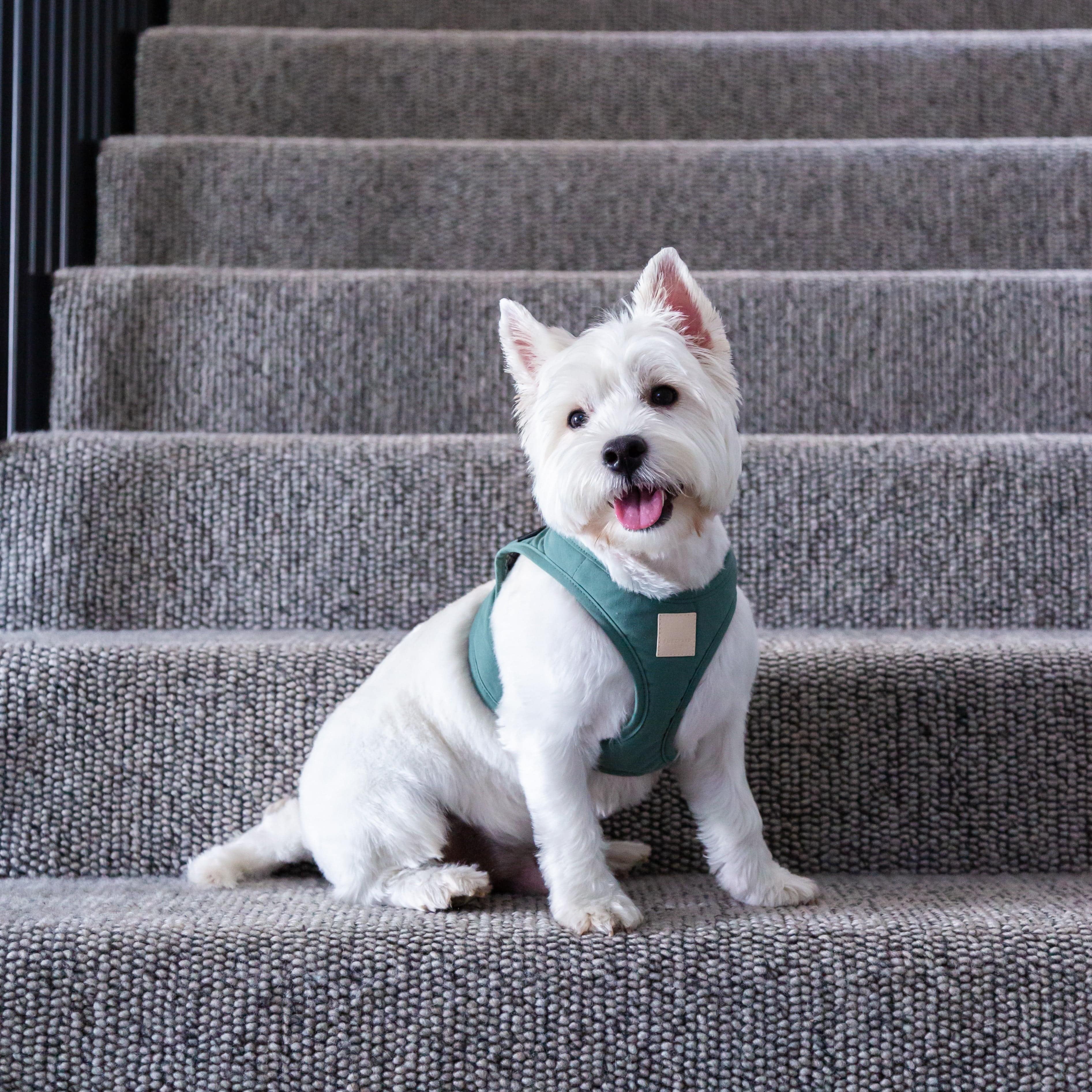 Step in Dog Harness 'FuzzYard Life' Myrtle Green The Stately Hound