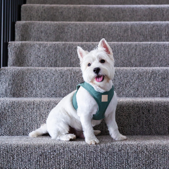 Step in Dog Harness 'FuzzYard Life' Myrtle Green