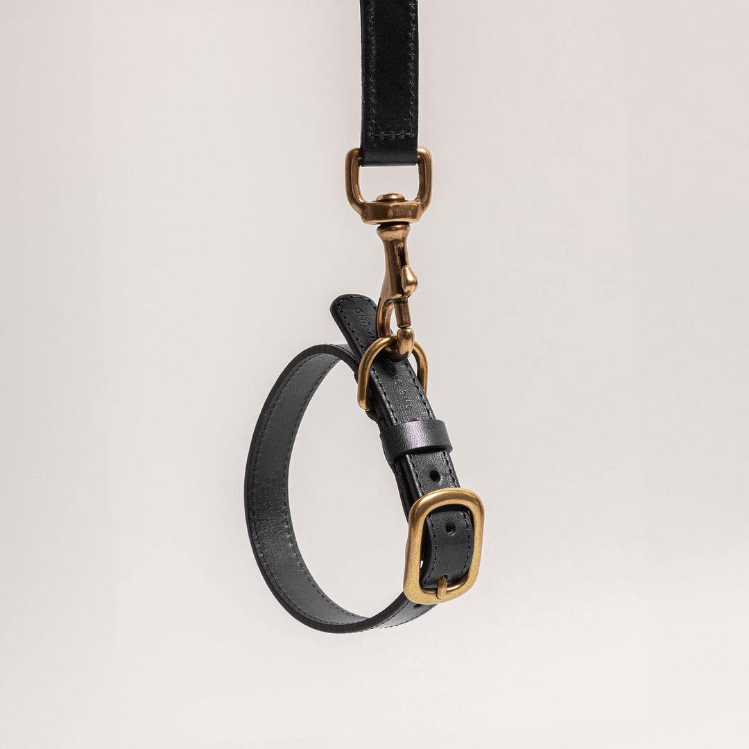 Midnight Black Leather Dog Collar with Gold Buckle The Stately Hound