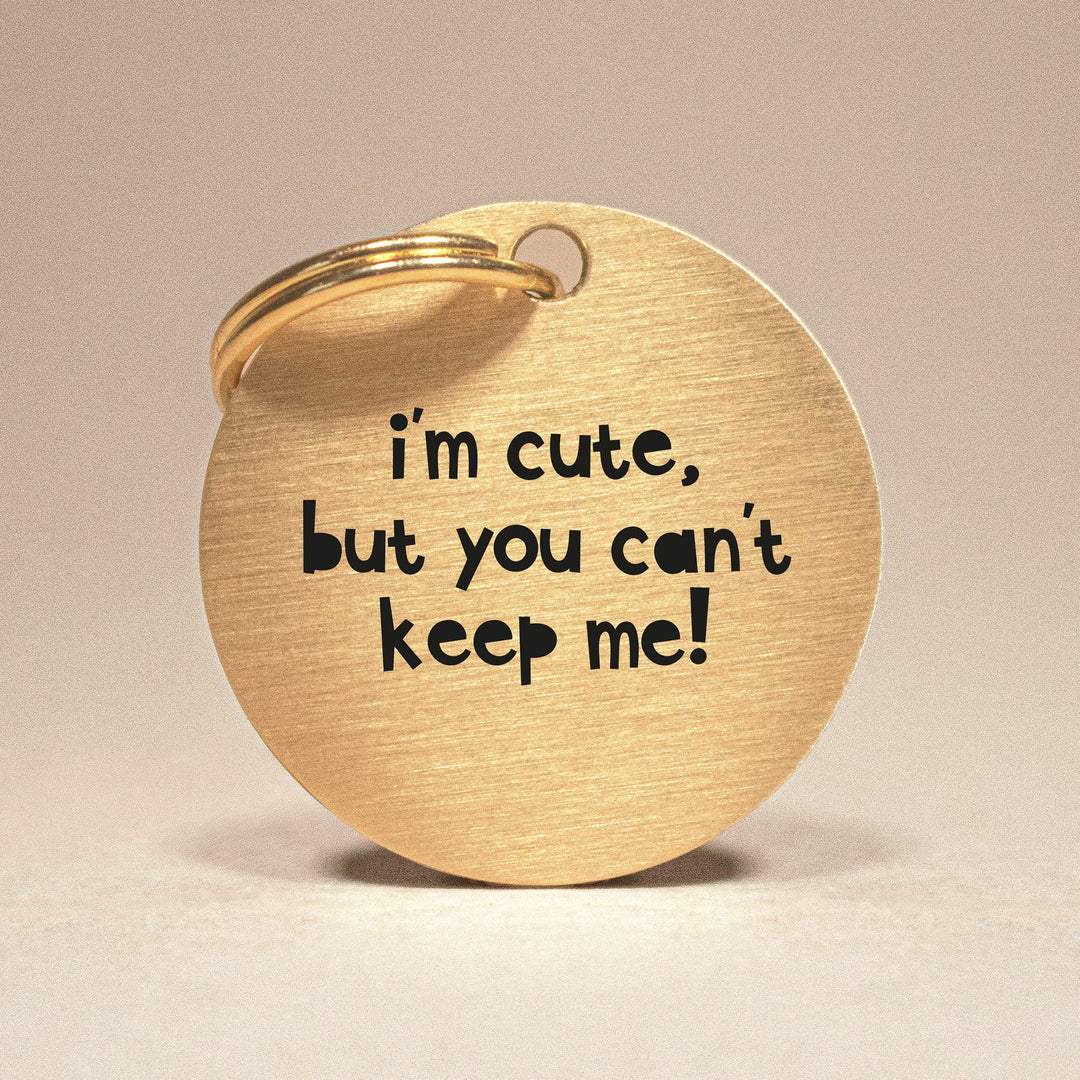Personalised Brass Pet Tag with Cheeky Inscription - Durable, Made in the UK