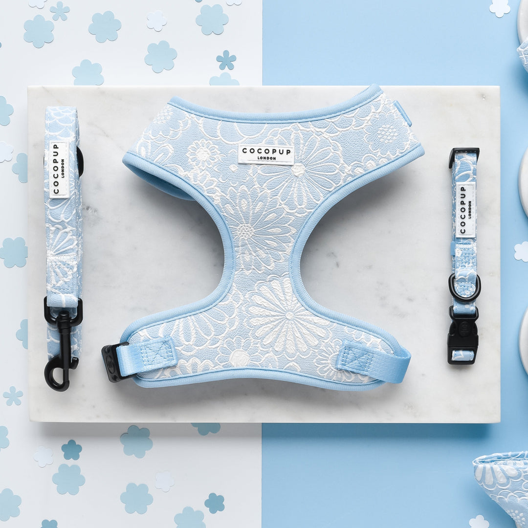 Cocopup Luxe Bundle - Baby Blue Flower Harness, Collar, and Lead The Stately Hound