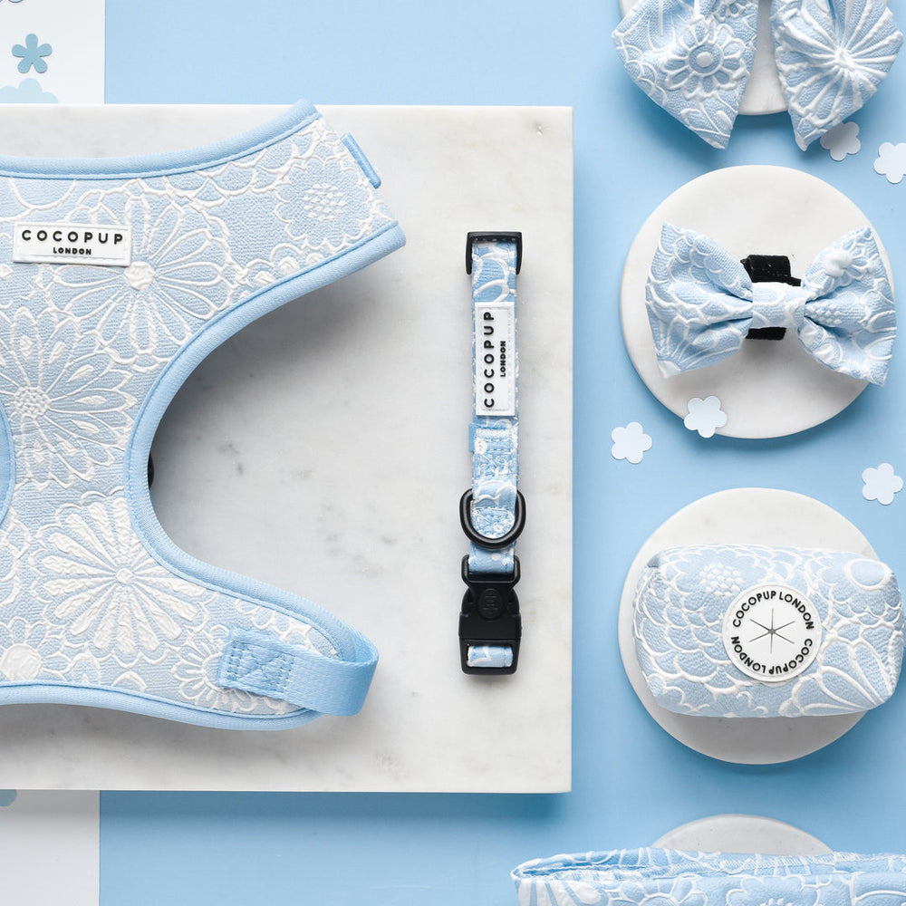 Cocopup Luxe Bundle - Baby Blue Flower Harness, Collar, and Lead The Stately Hound