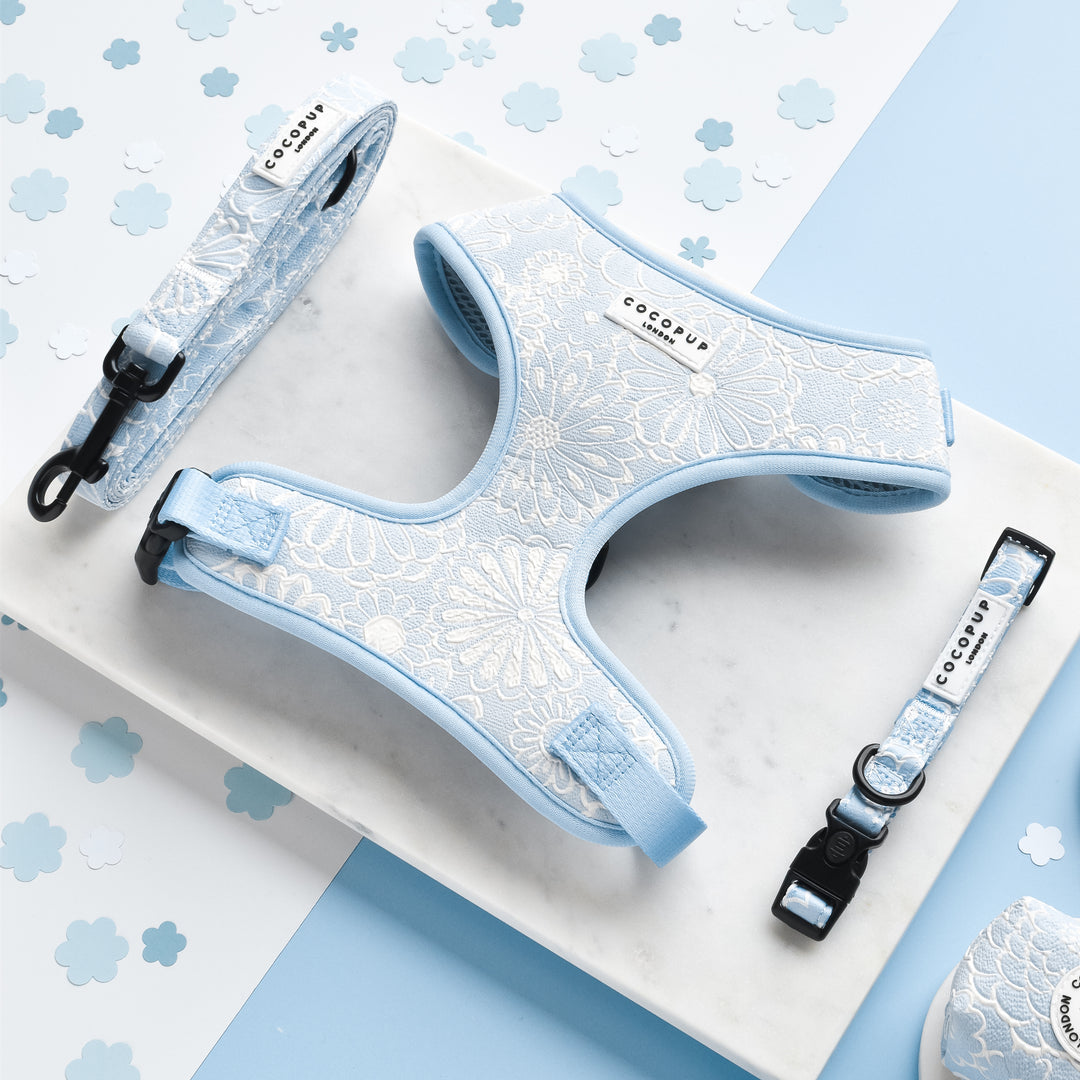 Cocopup Luxe Bundle - Baby Blue Flower Harness, Collar, and Lead The Stately Hound