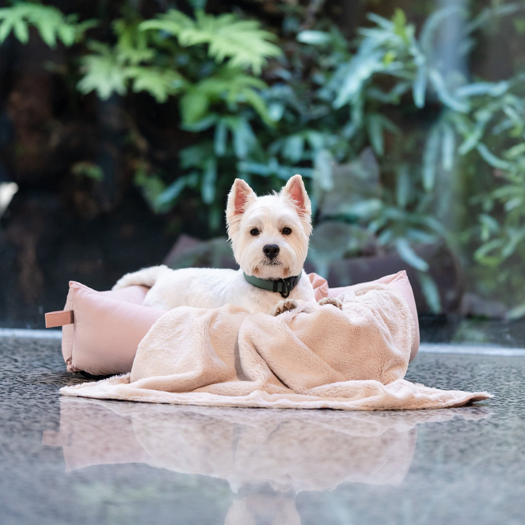 FuzzYard Comforter Reversible Dog Blanket in Pink Blush