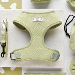 Cocopup Luxe Adjustable Dog Harness - Sage Heart The Stately Hound