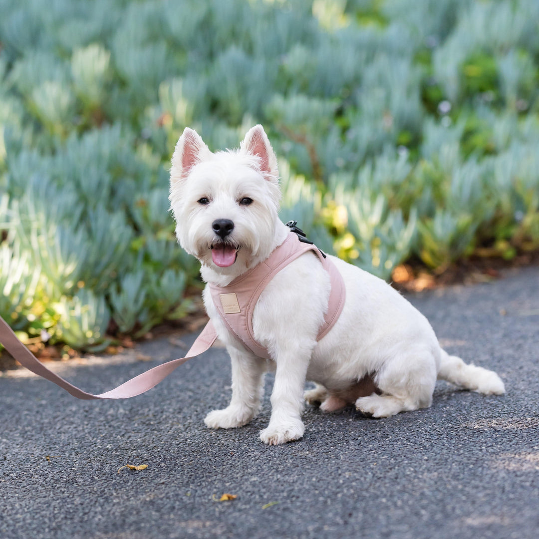 Step in Dog Harness 'FuzzYard Life' Blush Pink