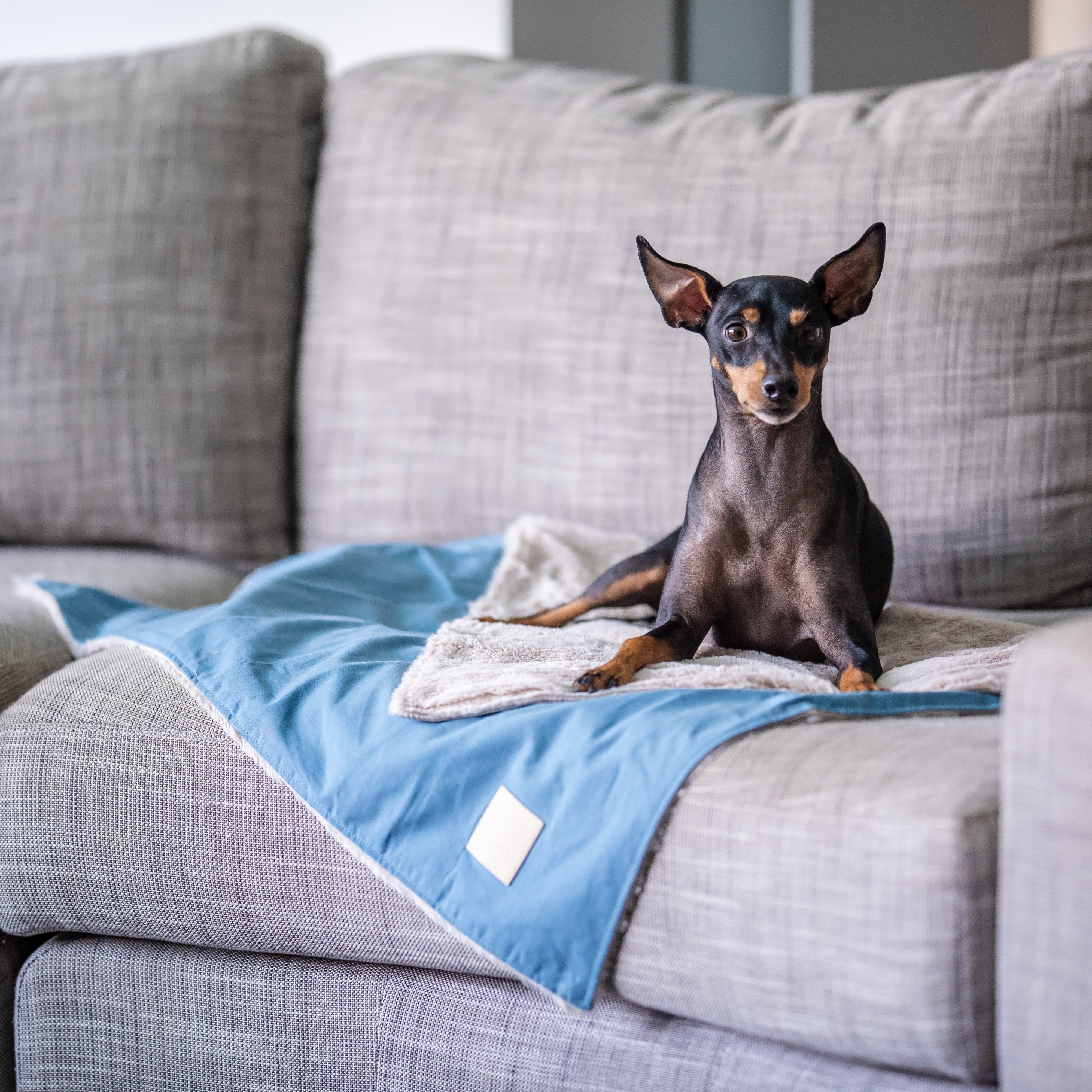 FuzzYard Comforter Reversible Dog Blanket in French Blue The Stately Hound