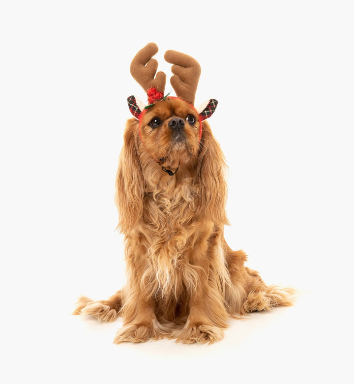 Reindeer Antler Headpiece Costume for Dogs