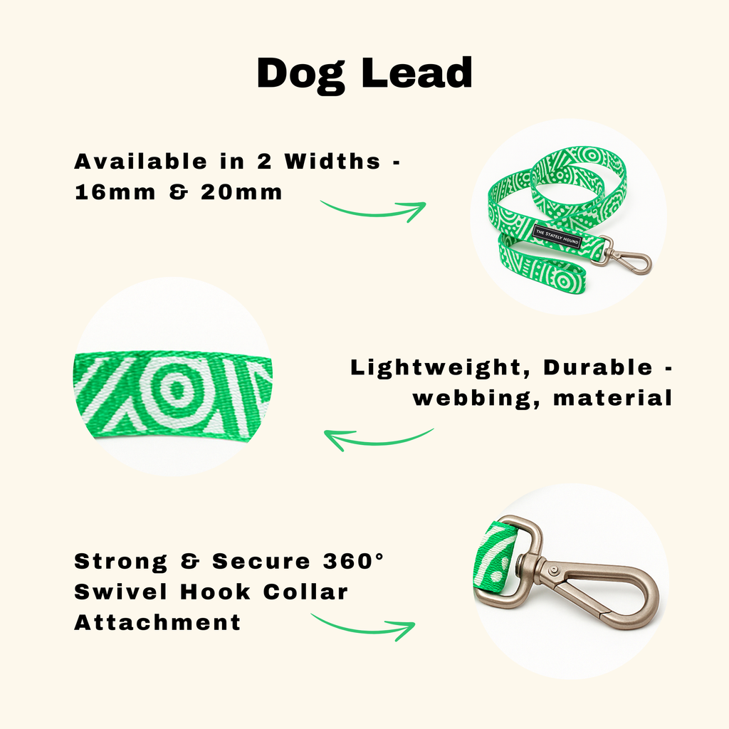 Geometric Print Dog Lead in Green & White