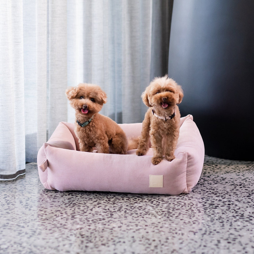 Blush Pink Adjustable Dog Collar. Soft, Stylish, and Secure