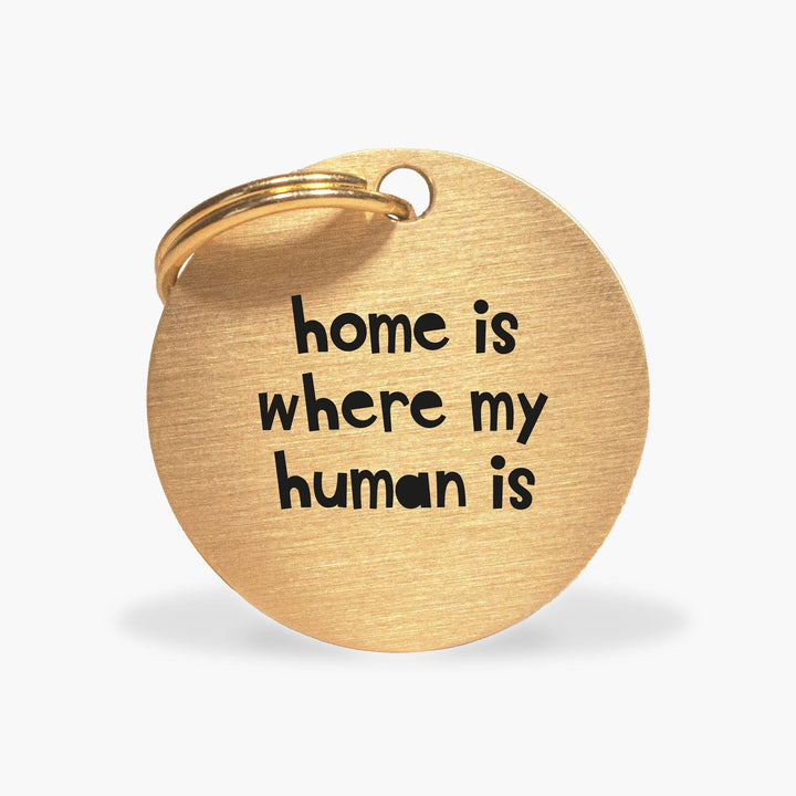 UK-Made Gold Brass Dog ID Tag with 'Home is Where my Human Is' Inscription