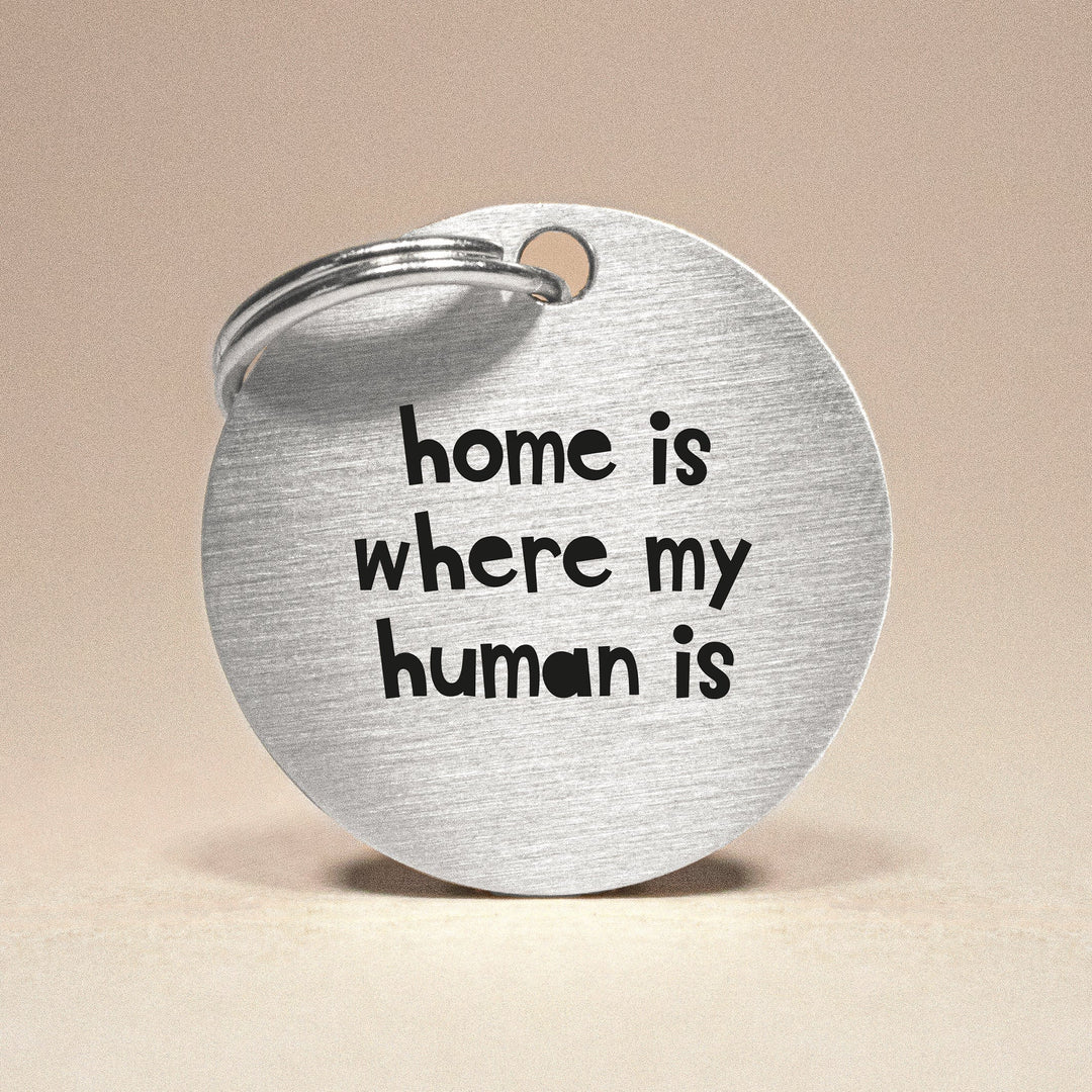 UK-Made Dog ID Tag with 'Home is Where my Human Is' Inscription in Silver Stainless Steel