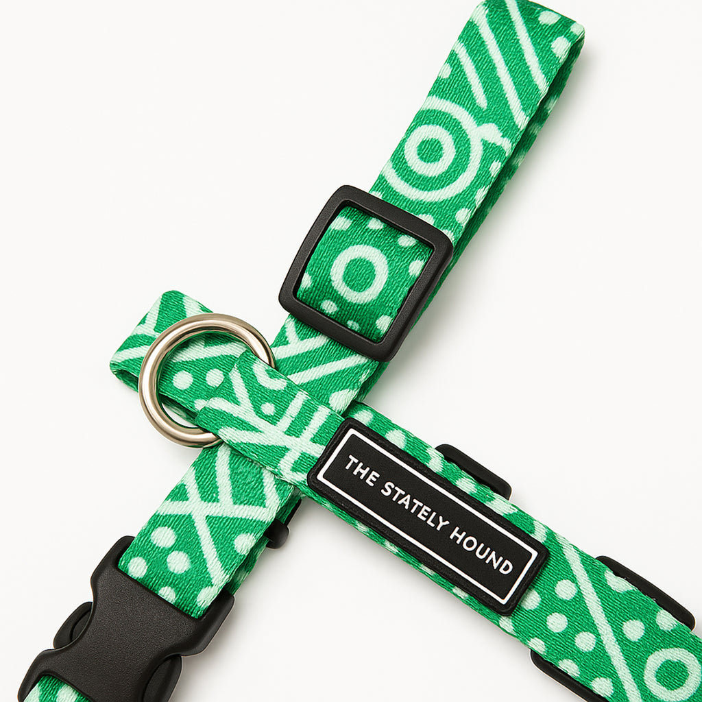 Geometric Print Dog Harness in Green & White