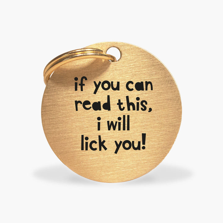 Gold Brass Dog ID Tag with Funny Inscription - 'If You Can Read This I Will Lick You'
