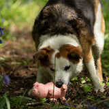 Latex Oink Pig Dog Toy: Squeaky Fun and Exercise for Your Pup The Stately Hound