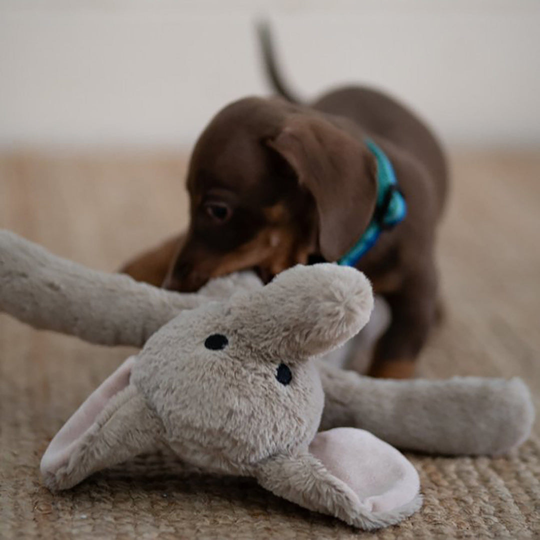 Soft Plush Elephant Dog Toy: Cuddly and Playful Joy for Your Pup